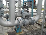 Banatski dvor slika46